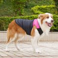 thumbnail image 7 of NovaStitch Padded Vest Dog Jacket Warm Zip Up Vest Fleece Jacket Water Resistant for Small to Medium Dogs Hot Pink 3XL, 7 of 7
