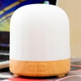 thumbnail image 2 of lionlar Mini 15DP Silent Portable Compact Car Small Single Mouth, 2 of 9