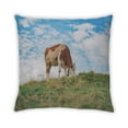 thumbnail image 2 of Ahgly Company Animals Cow Coussin Intérieur, 18 Pouces par 18 Pouces, 2 of 6