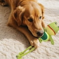 thumbnail image 3 of Squeaky Rope Dog Toys Braided Chew Pet Toys for Small Medium Dogs Interactive Durable, 3 of 3