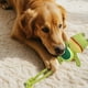 thumbnail image 3 of Juguetes para perros que les gusta masticar Juguetes para mascotas Squeaky Frog Rope Toys Juguetes trenzados para perros pequeños y medianos, 3 of 6