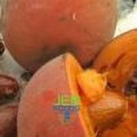 JEB FOODS African Bitter Kola Nuts, Bitter Kola Retro Garcinia, Petit Cola Nut, Obi Abata Cola Nut (8oz)