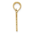 thumbnail image 2 of FB Jewels 14K Yellow Gold American Flag Pendant, 2 of 4
