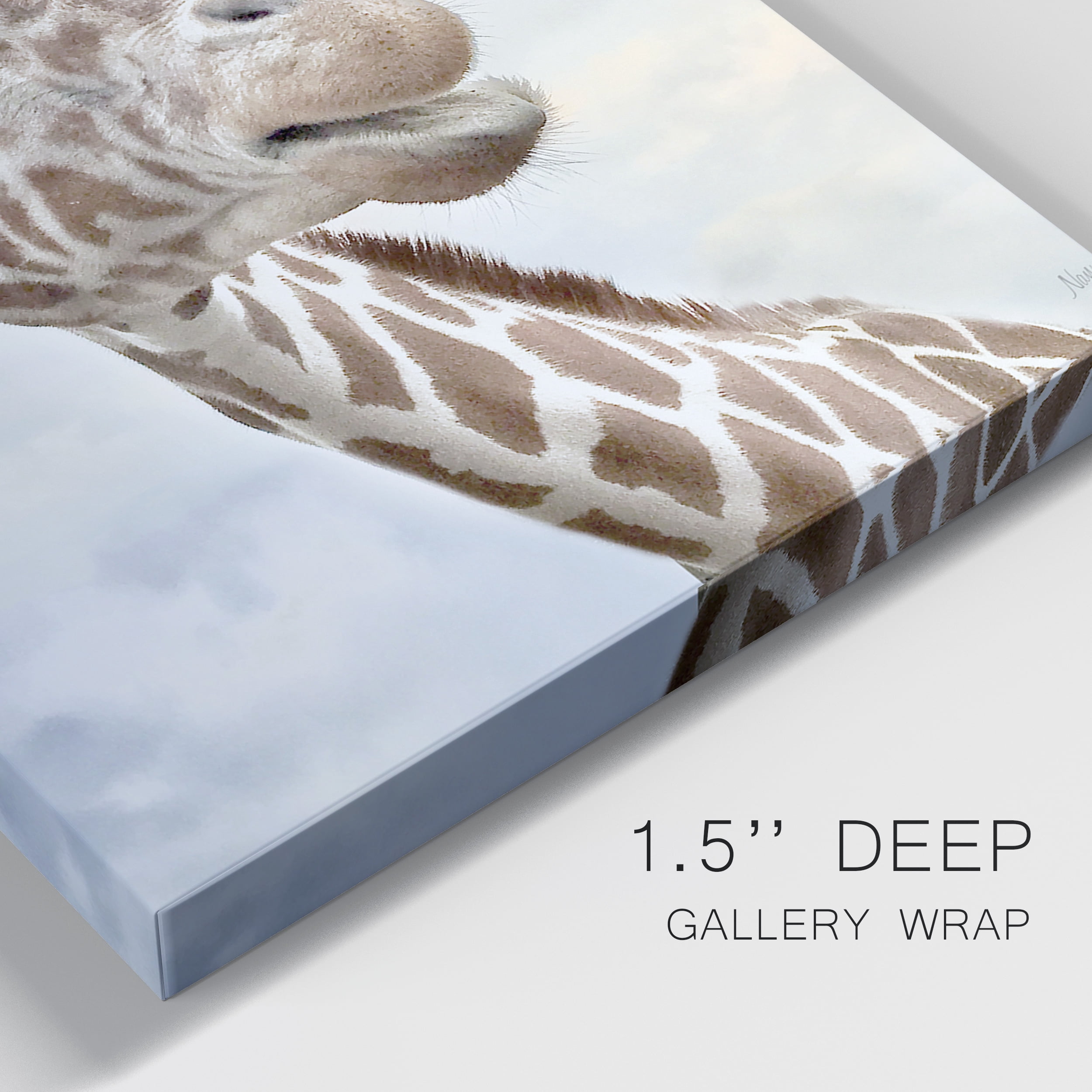 Smiley Premium Gallery Wrapped Canvas - Ready to Hang - Set of 2 - 32 x 48 Each