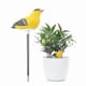thumbnail image 1 of Soil Moisture Meter Watering Alarm Bird Plant Water Tester Hygrometer Sensor Gardening Tool Kit for Planter Water Remind Warining Alert (Yellow), 1 of 5
