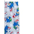 thumbnail image 3 of Sonic the Hedgehog Boys Snug Fit Long Sleeve Top and Sleep Pants, 2-Piece Pajama Set, Sizes 4-10, 3 of 3