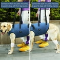 thumbnail image 4 of Coodeo Dog Lift Harness, Pet Support & Rehabilitation Sling Lift Adjustable Padded Breathable Straps for Old, Disabled, Joint Injuries, Arthritis, Loss of Stability Dogs Walk (Blue, XL), 4 of 6