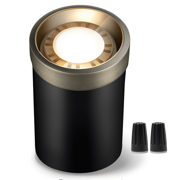 Gardenreet Brass Well Lights, 12V LED Outdoor Landscape Lighting In Ground Lights for Tree, Garden, Pathway, Yard Without PAR36 Bulb(Flat Top)