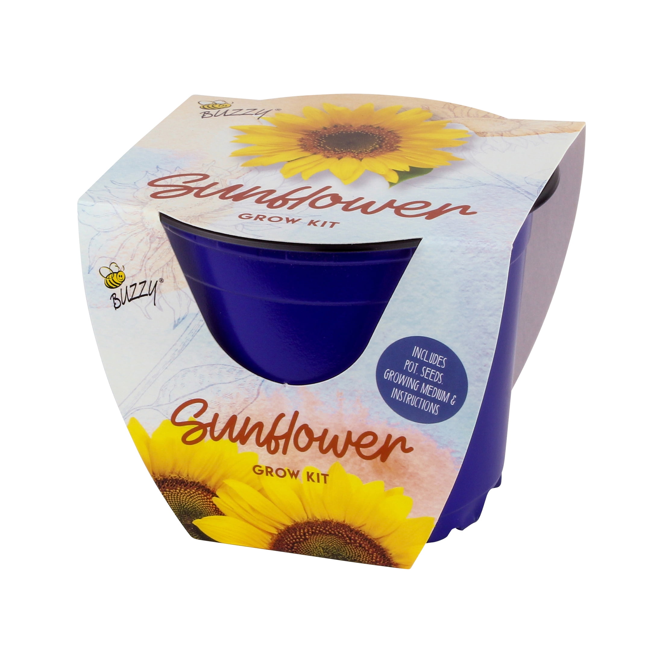 Sunflower ページ 610ePW9T70S._UF350,350_QL50_.jpg