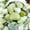 Jade, variant on 5lbs Natural Jade River Pebbles 2-3 Inch Polished Decorative Stones for Indoor Plants, Aquariums, Fish Tanks, Garden Landscaping, Vase Filler, DIY