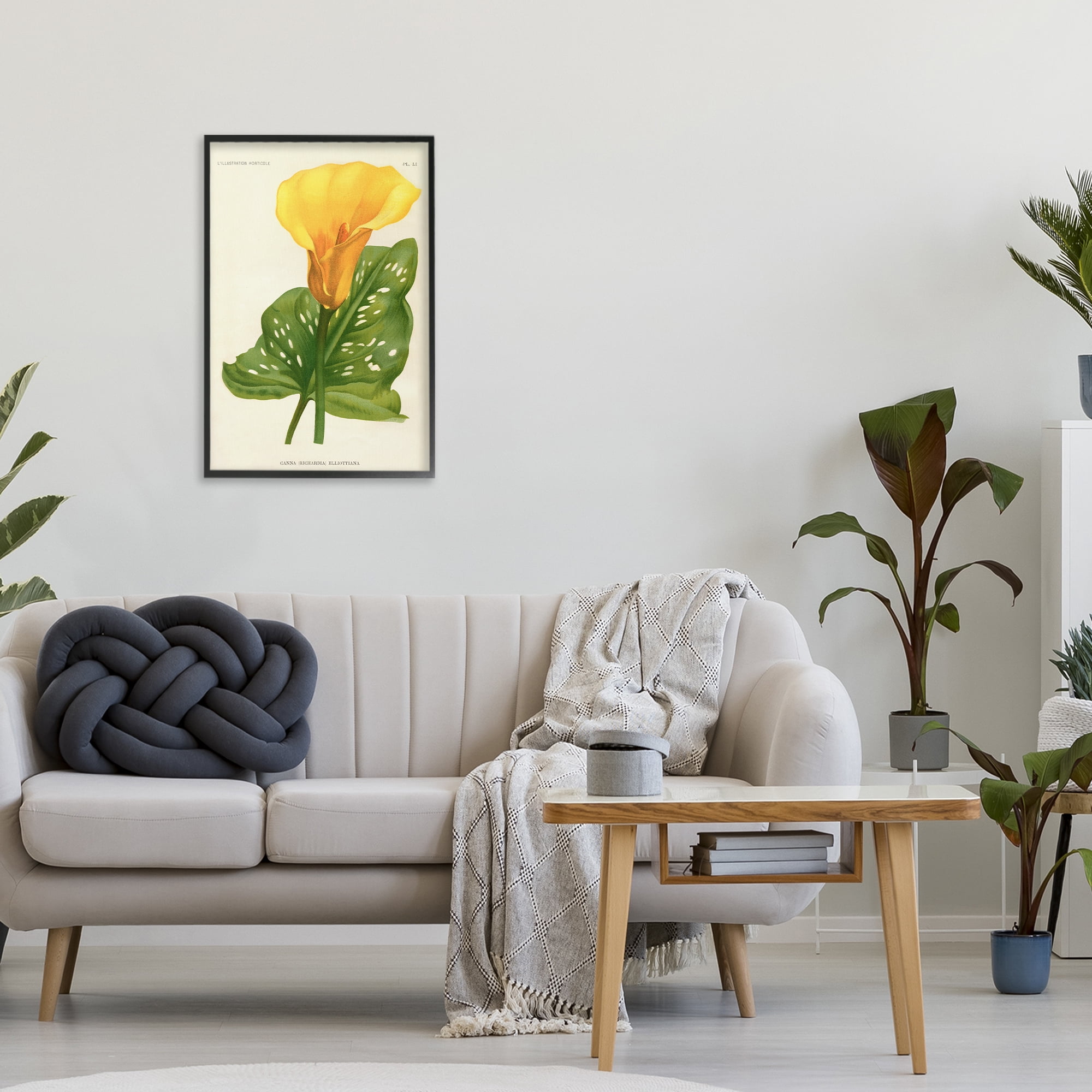 Stupell Industries Yellow Canna Lily Black Framed Giclee Art, design by Print Collection