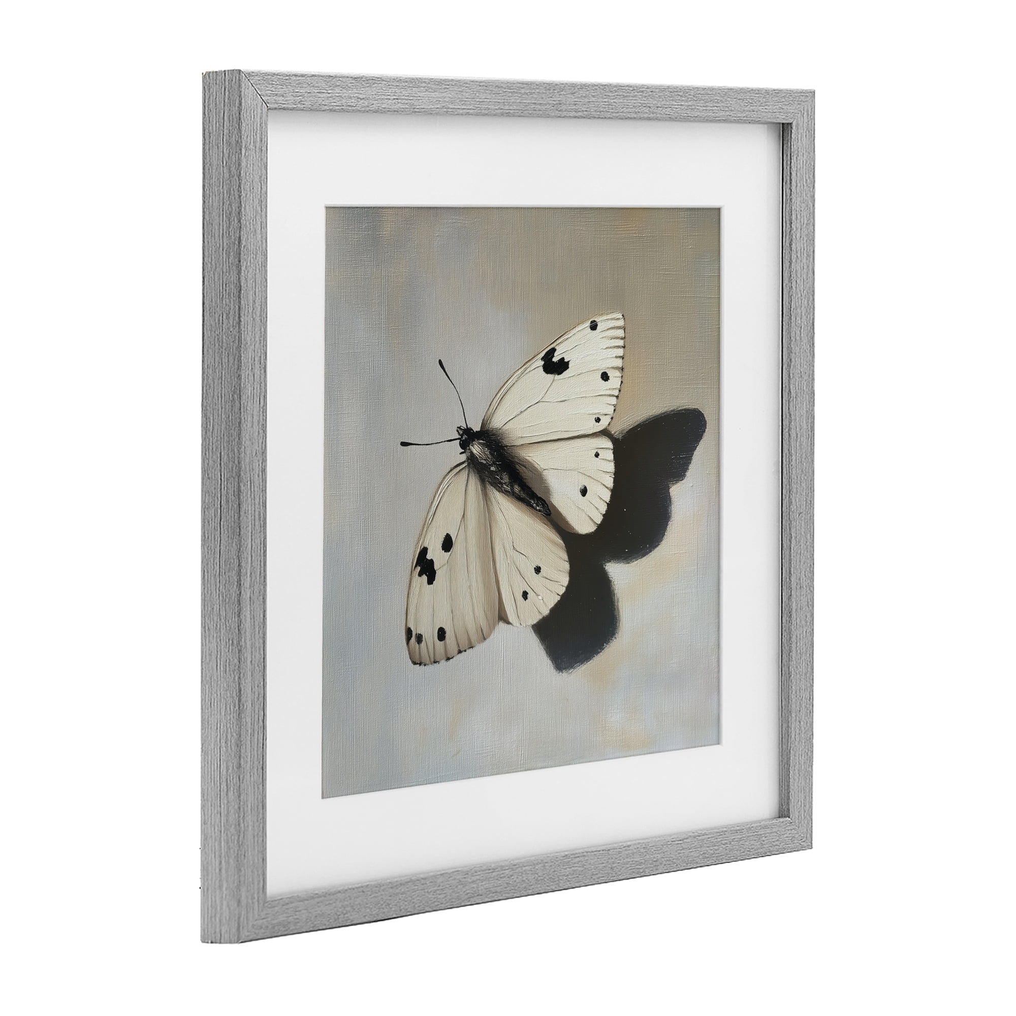Stupell Industries Velvet's Butterfly Wings Gray Framed Print Under Glass, design by Svetlana Aleynikova