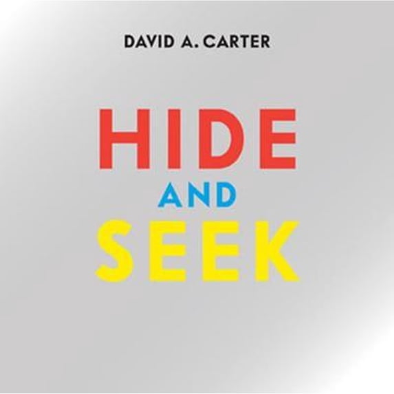 Pre-Owned Hide and Seek, 9781849761017, 1849761019, Hardcover, POP edition
