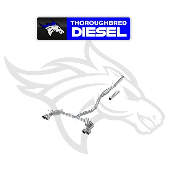 MBRP 22-24 Honda Civic/Sport Touring 1.5L 3in Cat-Back 2.5in Dual Split Rear w/ Quad Tips - AL