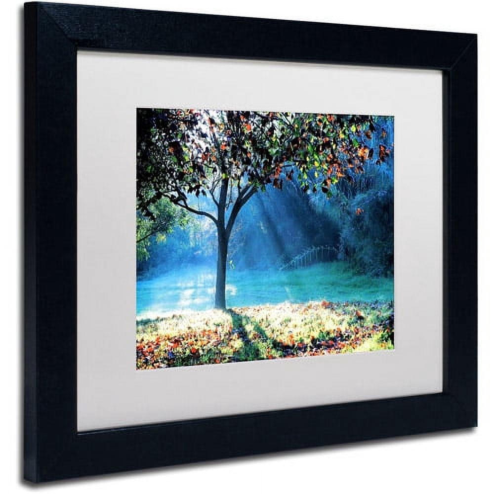 Trademark Fine Art "Rays of Hope" Canvas Art by Beata Czyzowska Young, White Matte, Black Frame