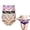 4pcs-d, variant on Bloomypink Bloomyfit Leak Proof Underwear for Women, Bloomyfit High Waist Incontinence PantiesTummy Control Panties