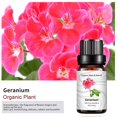 thumbnail image 4 of Aceite de aromaterapia para aliviar la fatiga, 10 ml de geranio, 4 of 4