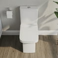 thumbnail image 4 of Ace One-Piece 0.8/1.28 GPF Dual-Flush Rectangular Floor Mounted Toilet in White (Seat Included), 4 of 15