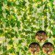 thumbnail image 1 of Hiedra artificial BLEUM CADE de 210 pies con luces LED de 98.4 pies, 1 of 9