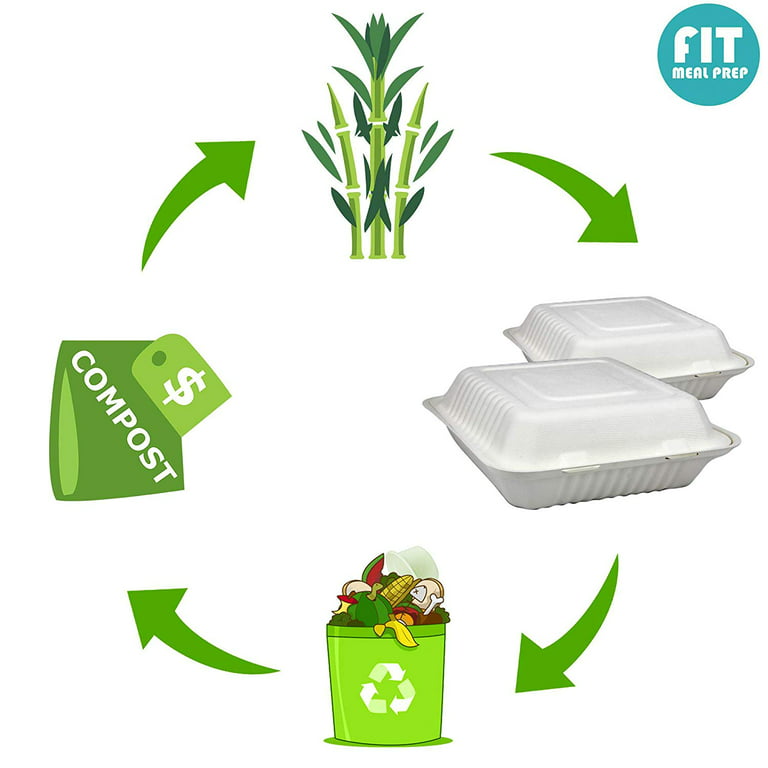 Compostable Biodegradable Take Out Food Containers with Clamshell Hing –  EcoQuality Store