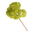 thumbnail image 2 of facefd Artificial Rice Seed Fruit Flower Rustic artificial Flower Wedding Party Floral Decor Home Ornament, Green, 2 of 3