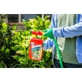 thumbnail image 5 of Sevin Ready-to-Spray Liquid Garden Insect Killer, 32 fl oz, 5 of 7