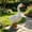 F, variant on Metal Garden Goose with Solar Light, Porch Goose Garden Statue, Goose Figurine with LED Light