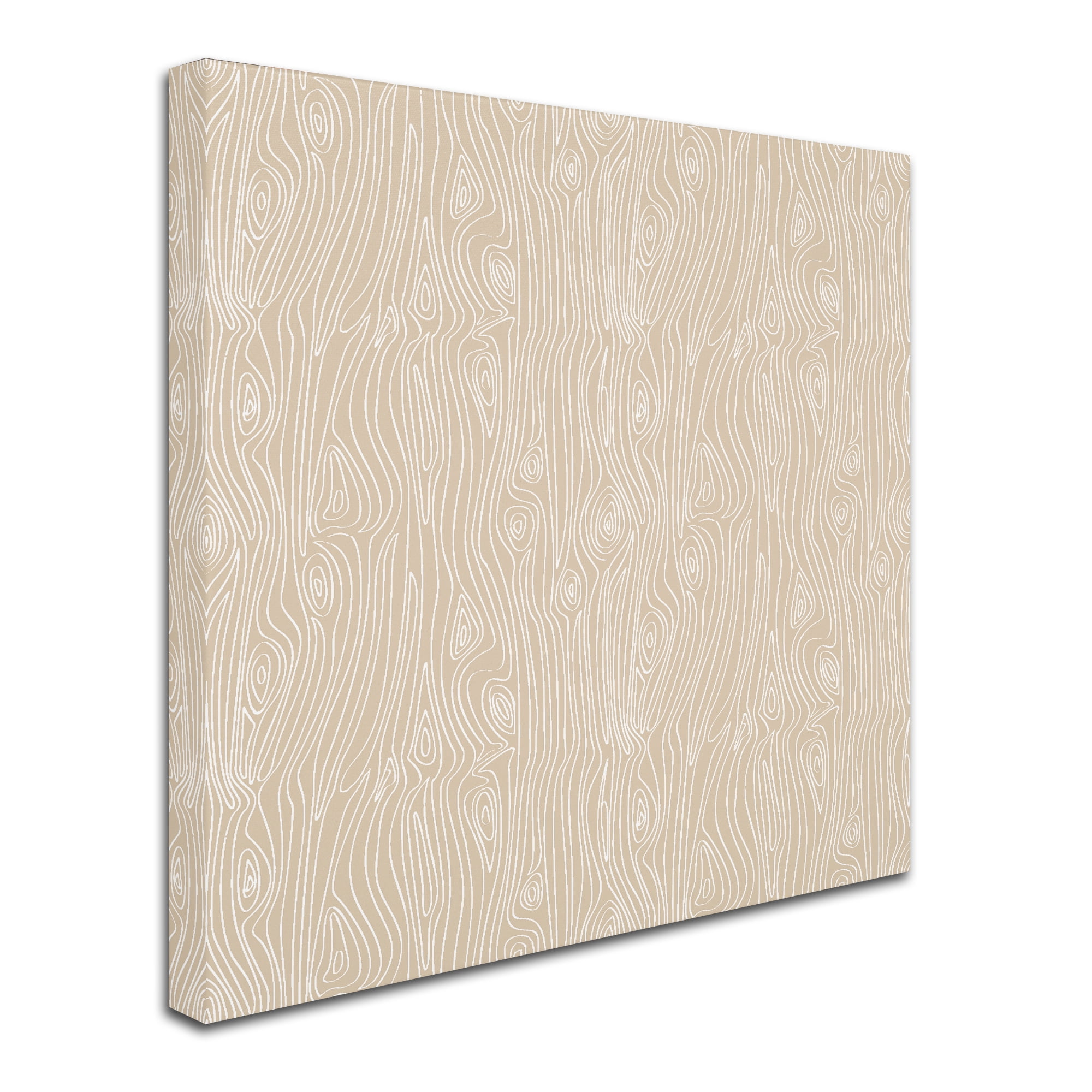 Trademark Fine Art 'Woodgrain Khaki' Canvas Art by Jyotsna Warikoo
