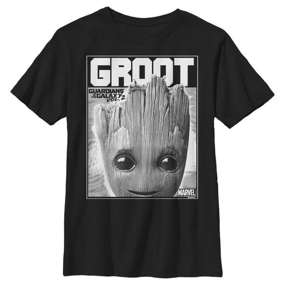 Boy's Marvel Guardians of the Galaxy Vol. 2 Baby Groot Close-Up  Graphic Tee Black Large