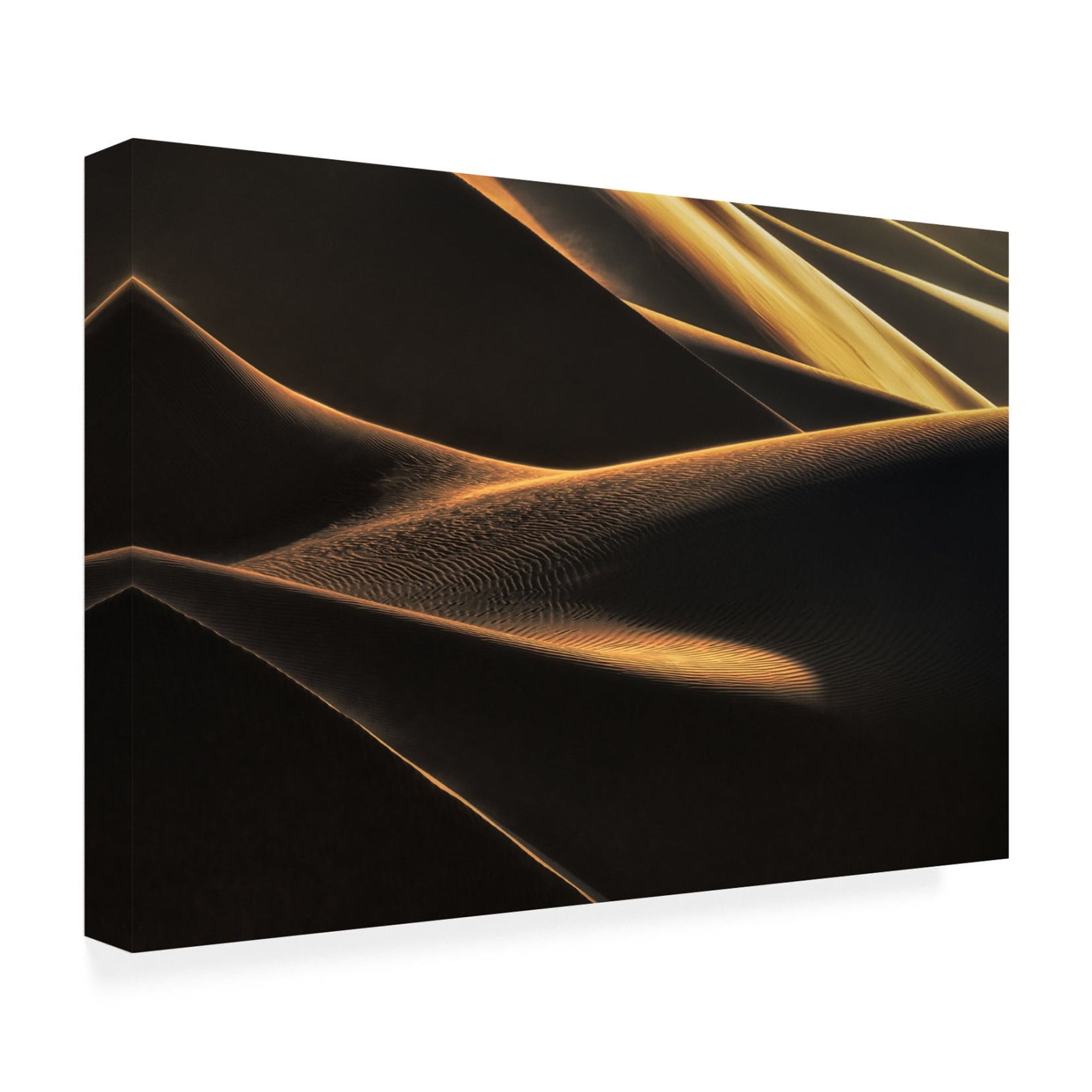 Canvas Wall Art - Babak Mehrafshar EFIAP 'Light Caress' Wall Art for Living Room, Bedroom, or Office Décor by Trademark Fine Art - 32 x 22 Inches