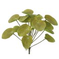 thumbnail image 1 of Hojas de follaje artificial Simulación de plástico Decoración de vegetación Oficina en casa Decoración de plantas falsas, Amarillo verde Scienceny HA8164-03B, 1 of 6