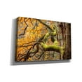 thumbnail image 2 of Cortesi Home 'Reaching Autumn Branch' by Nicklas Gustafsson Canvas Wall Art, 18"x12", 2 of 2