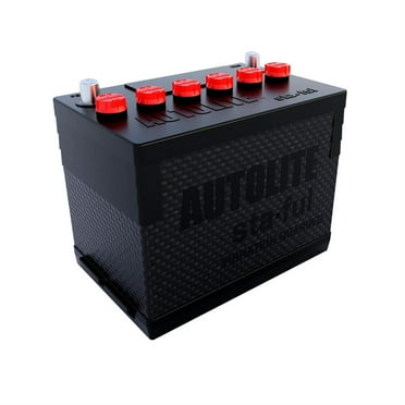 TurboStart S24F 12 Volt Light Weight Collectors AGM Battery