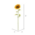 thumbnail image 2 of Vickerman FA187401 Tige de Tournesol Jaune 56 Po., 2 of 2