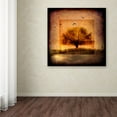 thumbnail image 3 of Trademark Fine Art 'For the Love of Trees III' Canvas Art by LightBoxJournal, 3 of 3