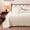 White, variant on Sleep Zone Velvet Quilt Set, Full/Queen 90"x96", Plush Velvet 3 Piece Quilt Bed Set with 2 Pillow Shams, White