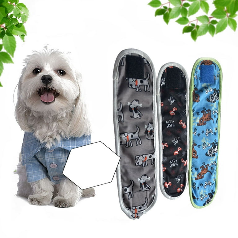Dog pee pants cheap