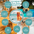 thumbnail image 5 of HYGIIENE NATURAL PET PAW BALM | All Season Paw Protection for Dogs, Cats, Other Pets | Lick Safe | Relieves Dryness & Itching | Moisturizes | Soothes | Restores | Natural Ingredients | 2 oz, 5 of 8