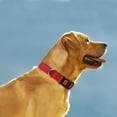 thumbnail image 6 of Taglory Reflective Dog Collar with Locking Buckle, Adjustable Nylon Collar for Medium Dogs, Red, 6 of 7