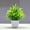 O, variant on QAQuu Artificial Potted Plants – Small Greenery for Home Decor, Perfect for Indoor Tabletop and Shelf Displays