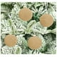 thumbnail image 4 of Fiudx Bolas Navideñas de Terciopelo, Adornos Flocados para Árbol, Fáciles de Colgar, Elegante Decoración Invernal, Versátiles para El Hogar, Juego de 20 Piezas, Tamaño de 2,4 Pulgadas, Ideales para F, 4 of 7