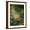Brown Frame, variant on Art.com The Swing Stretched Canvas Print Wall Art by Jean-Honor? Fragonard, 24" x 32"