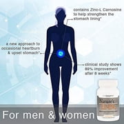 Lane Labs Nature's Lining - 60 Tablets