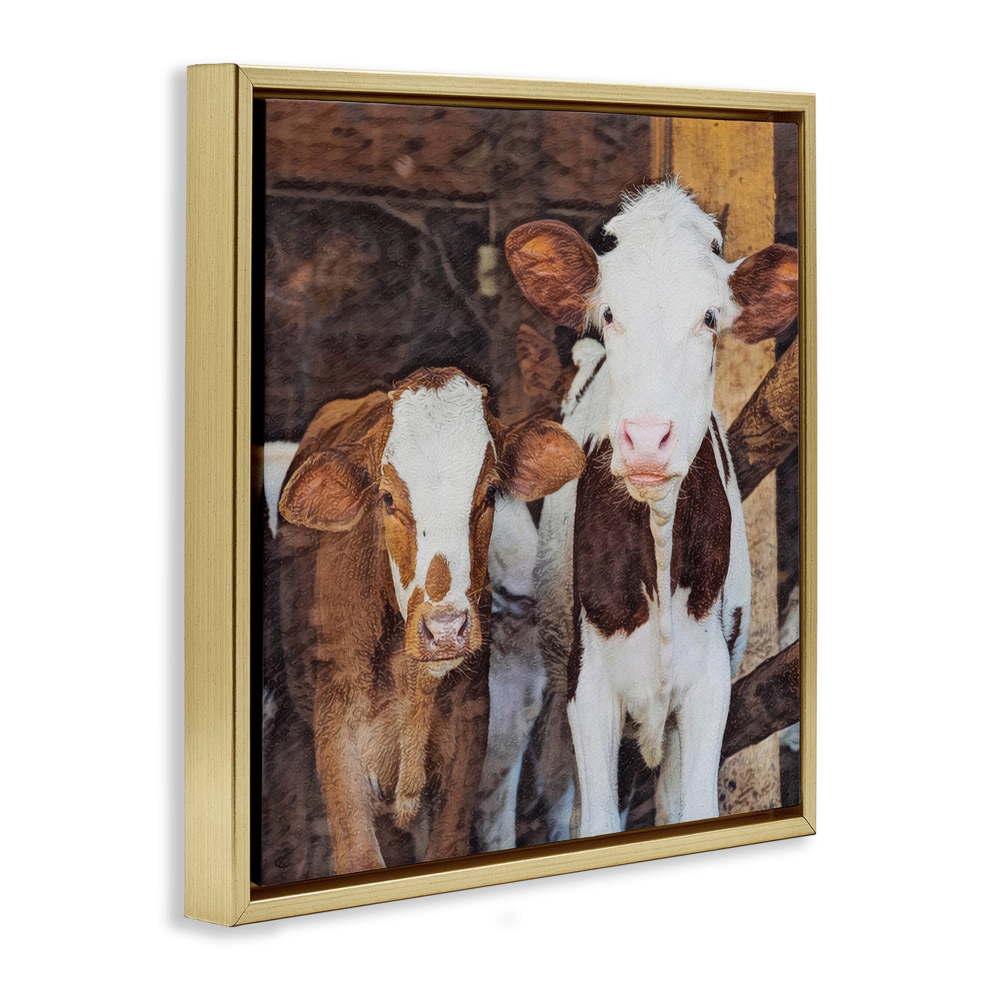 Stupell Industries Baby Cows on Farm Animals Painting Gold Floater Framed Canvas Art Print Wall Art, 25 x 25