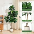 thumbnail image 2 of 5 ft artificial fiddle leaf fig tree con 77 leaves y blanca planter pot - ideal para para oficina en casa, sala de estar decor, housewarming gift, 2 of 8