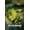 Premium Unframed Version, variant on Trends International Star Wars - Blu Ray Prequels Poster