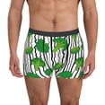thumbnail image 1 of Balery Broccoli 2 Calzoncillos bóxer para hombre, ropa interior de algodón suave y transpirable con cinturilla de nailon-XX-Large, 1 of 5