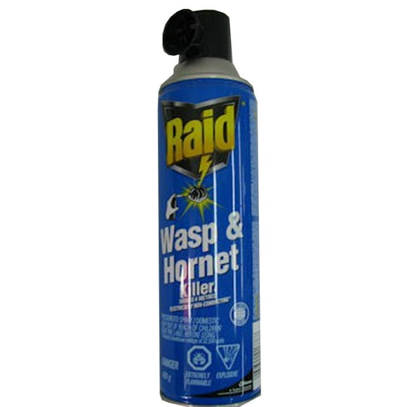 Raid Wasp & Hornet Killer 400gr x 12