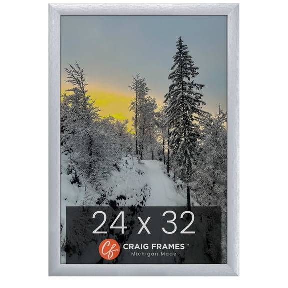 Craig Frames 23247018 Picture Frame, 24x32 inch, Brushed Silver