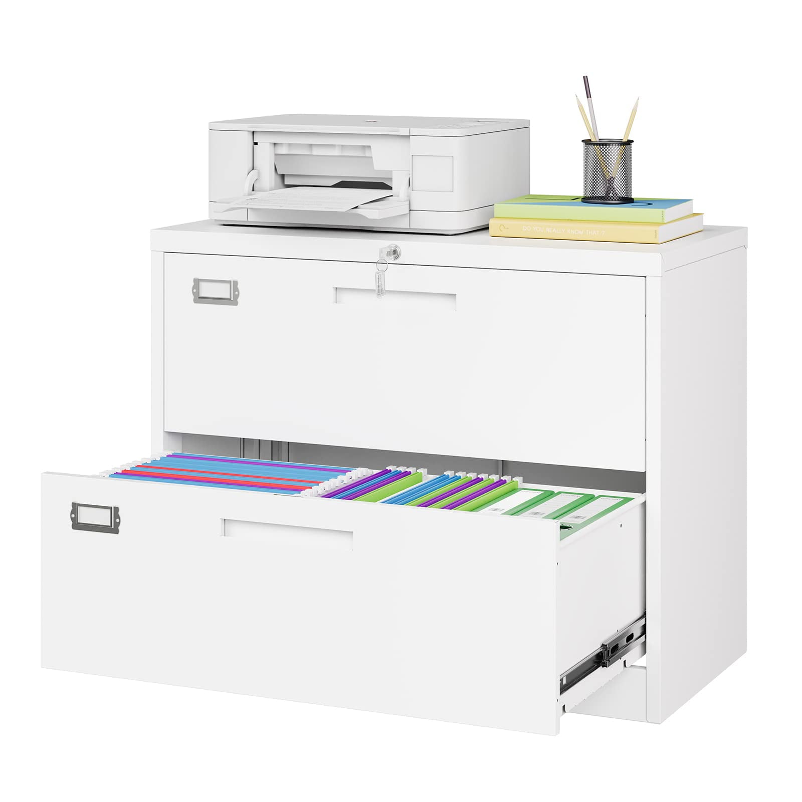 STANI 2 Drawer Lateral File with Lock, Filing for Home